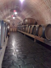 Barrique barrels, wineries Stanislav Mádl, Velké Bílovice