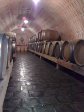 Barrique barrels, wineries Stanislav Mdl, Velk Blovice